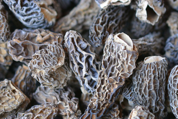 羊肚菌佐有機(jī)蔬菜汁的食用禁忌 羊肚菌佐有機(jī)蔬菜汁的食用禁忌