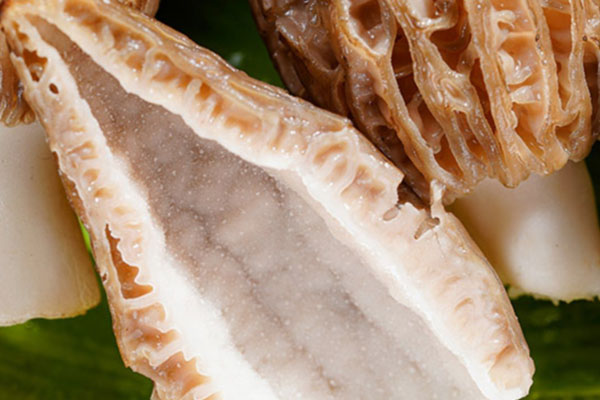 適合羊肚菌生長(zhǎng)的土壤 適合羊肚菌生長(zhǎng)的土壤