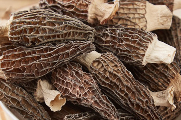 用冷水泡羊肚菌好不好 用冷水泡羊肚菌好不好
