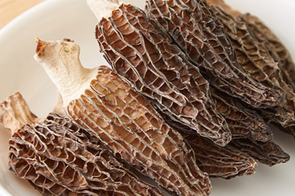 為什么市面上看到的都是干品羊肚菌 為什么市面上看到的都是干品羊肚菌