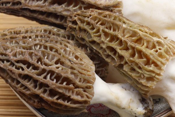 羊肚菌一般生長在什么植被環(huán)境下 羊肚菌一般生長在什么植被環(huán)境下