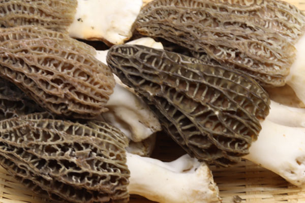 類(lèi)風(fēng)濕能吃羊肚菌嗎，糖尿病可以吃羊肚菌嗎