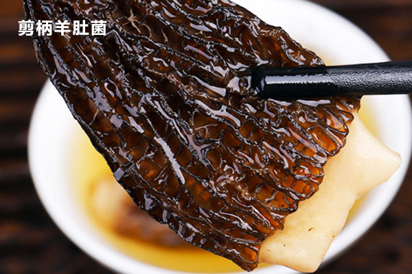 羊肚菌有柄和無柄的區(qū)別，羊肚菌尾巴要剪掉嗎