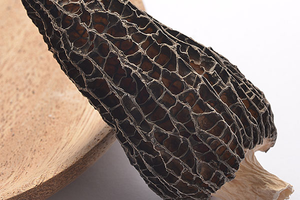 干羊肚菌的菌頭要切掉嗎 干羊肚菌的菌頭要切掉嗎