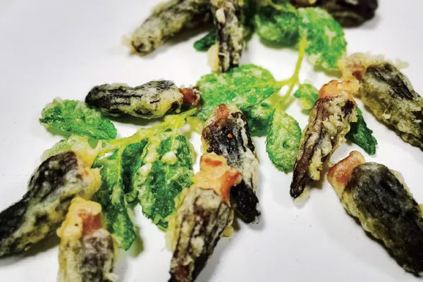 形容下羊肚菌的味道 形容下羊肚菌的味道