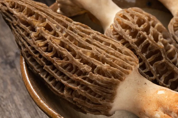 喉嚨發(fā)炎可以吃羊肚菌嗎，氣管炎能吃羊肚菌嗎