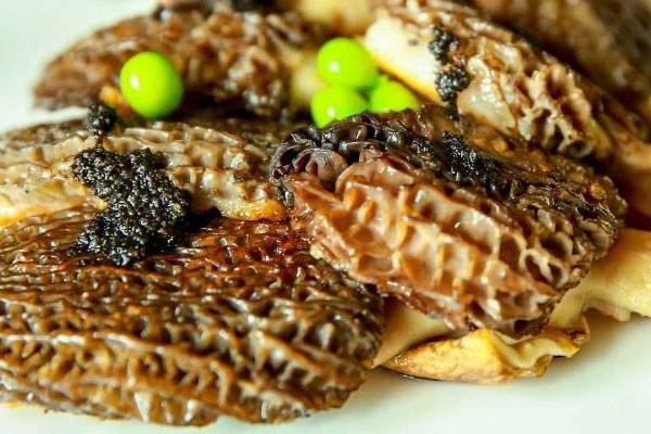 羊肚菌可以香煎嗎 羊肚菌可以香煎嗎