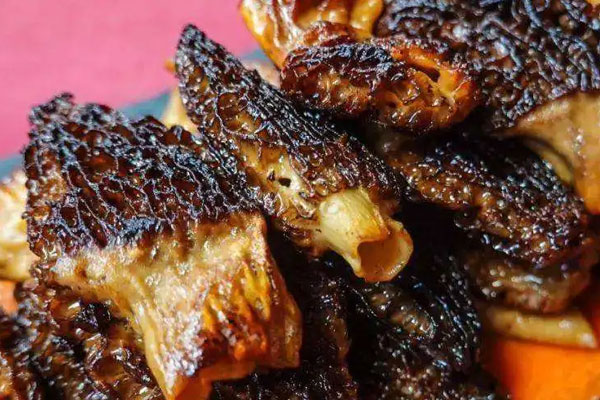 胃酸過多能吃羊肚菌嗎，胃病的人能吃羊肚菌嗎