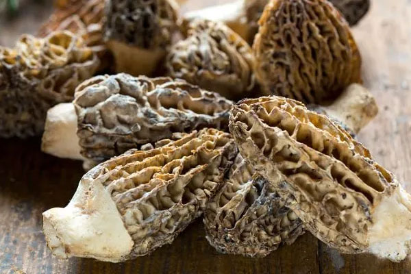 萎縮性胃炎可以吃羊肚菌嗎，胃反流可以吃羊肚菌嗎