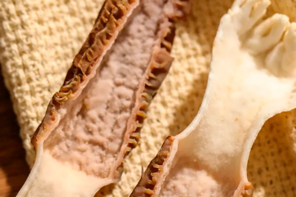 羊肚菌的多糖是一種什么多糖 羊肚菌的多糖是一種什么多糖