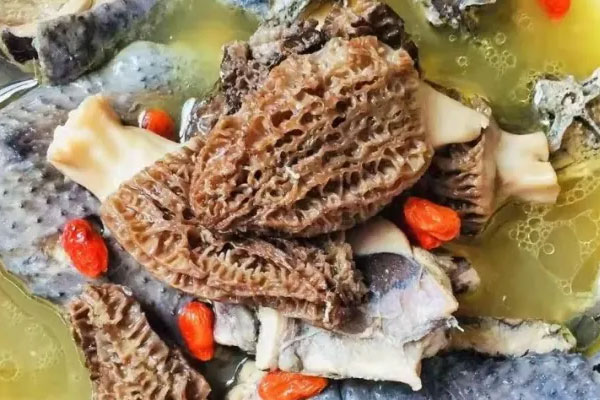 孕婦吃羊肚菌對胎兒的好處 孕婦吃羊肚菌對胎兒的好處