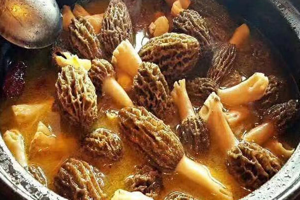 術(shù)后吃羊肚菌好不好 術(shù)后吃羊肚菌好不好