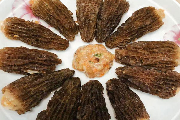 腎癌能吃羊肚菌嗎 腎癌能吃羊肚菌嗎