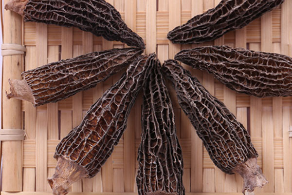 羊肚菌蘿卜鴨肉湯的功效作用 羊肚菌蘿卜鴨肉湯的功效作用