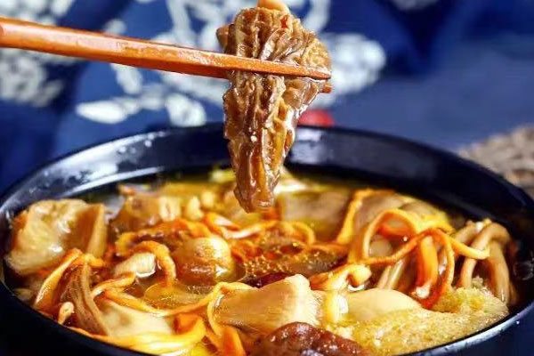 骨折可以喝羊肚菌湯嗎 骨折可以喝羊肚菌湯嗎