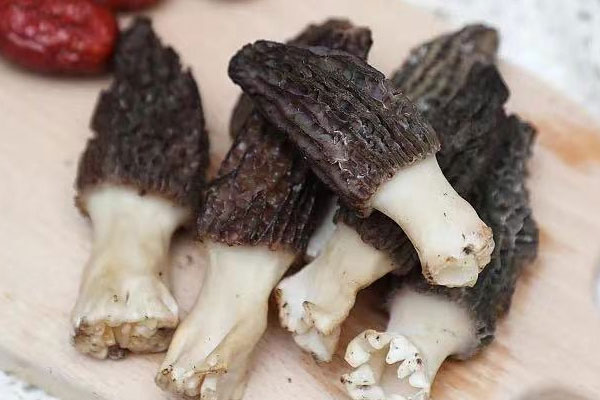 開顱手術(shù)能吃羊肚菌嗎 開顱手術(shù)能吃羊肚菌嗎