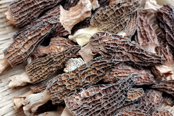 干羊肚菌的等級是怎么劃分 干羊肚菌的等級是怎么劃分