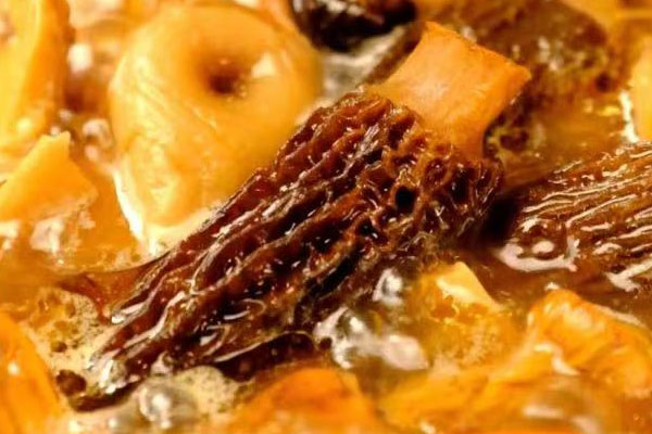 腦炎能吃羊肚菌嗎 腦炎能吃羊肚菌嗎