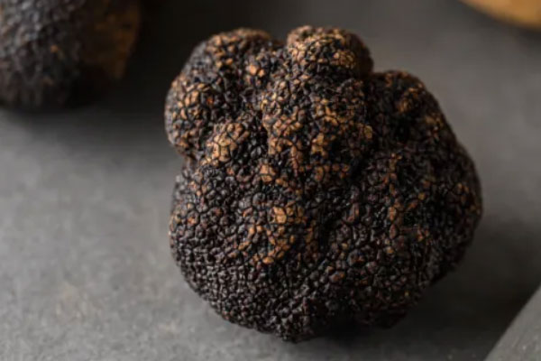 黑松露芝士巧克力的食用禁忌 黑松露芝士巧克力的食用禁忌