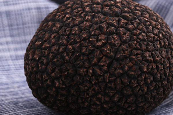 黑松露配牛排烤南瓜的營養(yǎng)價值