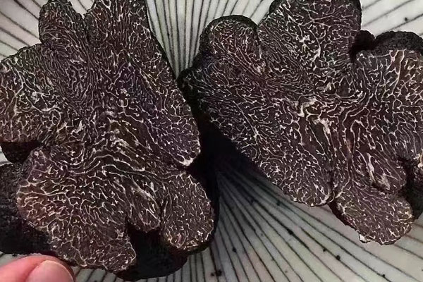 松露是什么東西，黑松露難吃為什么叫三大美食