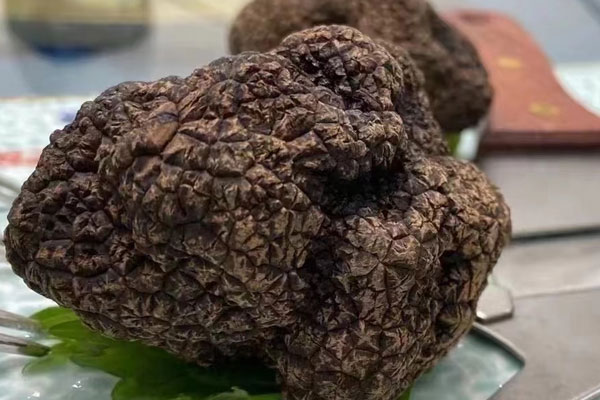 松露是閃電的女兒嗎