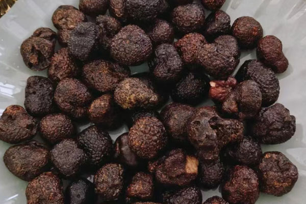 松露容易找嗎 松露容易找嗎