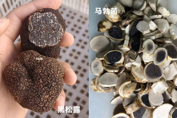 黑松露有假的么，沒有花紋的是黑松露嗎