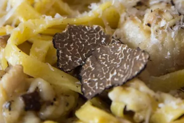 沒有花紋的是不是黑松露 沒有花紋的是不是黑松露