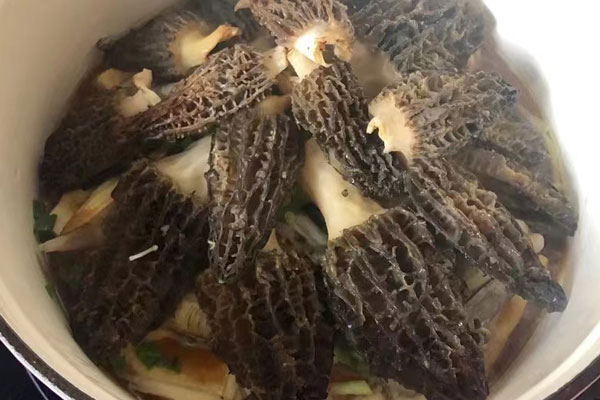 羊肚菌蟶子燜豆腐的食用禁忌 羊肚菌蟶子燜豆腐的食用禁忌