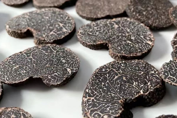 松露都有紋路嗎，末期松露沒有紋路嗎