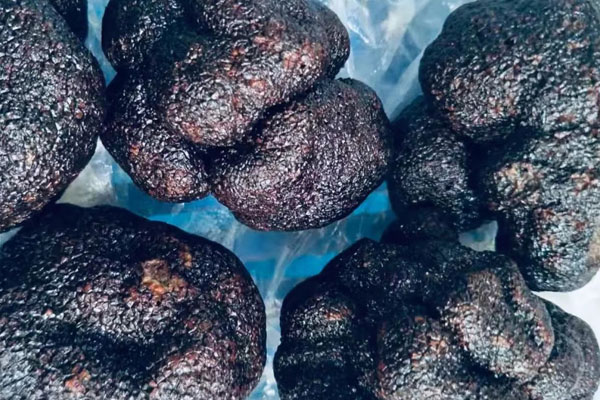 夏松露和黑松露的區(qū)別，松露里面顏色均勻嗎