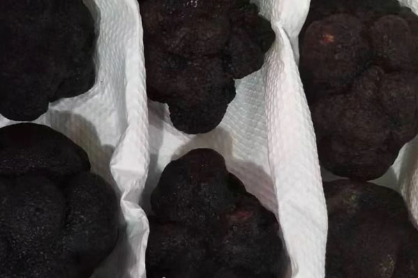 兩歲寶寶能吃黑松露嗎 兩歲寶寶能吃黑松露嗎