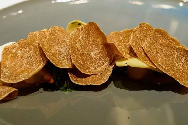 吃白松露會過敏嗎 吃白松露會過敏嗎