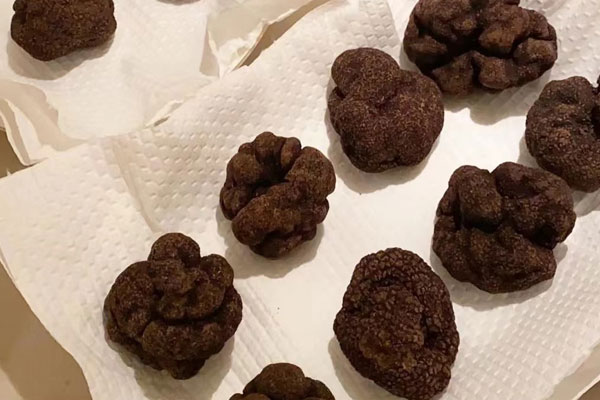 黑松露牛肉羅宋湯的營養(yǎng)價值 黑松露牛肉羅宋湯的營養(yǎng)價值