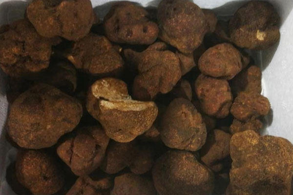 黑松露牛肉羅宋湯的食用禁忌 黑松露牛肉羅宋湯的食用禁忌