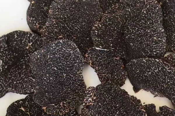 奶油黑松露羹什么時候喝最好 奶油黑松露羹什么時候喝最好