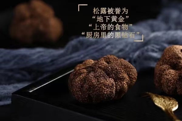 松露放冰箱冷凍可以放多久 松露放冰箱冷凍可以放多久