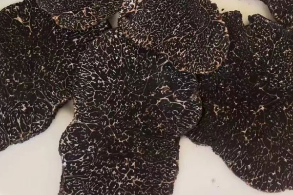 黑松露冷凍好還是冷藏好 黑松露冷凍好還是冷藏好