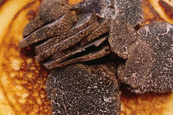 松露的發(fā)展史