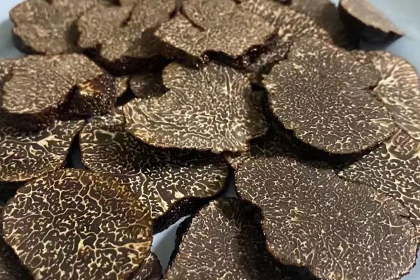 松露有哪些形態(tài)特征 松露有哪些形態(tài)特征