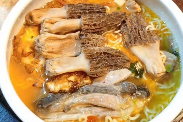 羊肚菌的特點和口感是怎樣的 羊肚菌的特點和口感是怎樣的