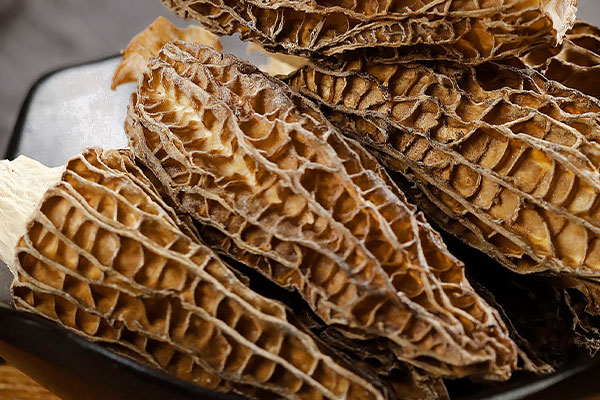 干羊肚菌聞起來有海鮮的味道嗎 干羊肚菌聞起來有海鮮的味道嗎