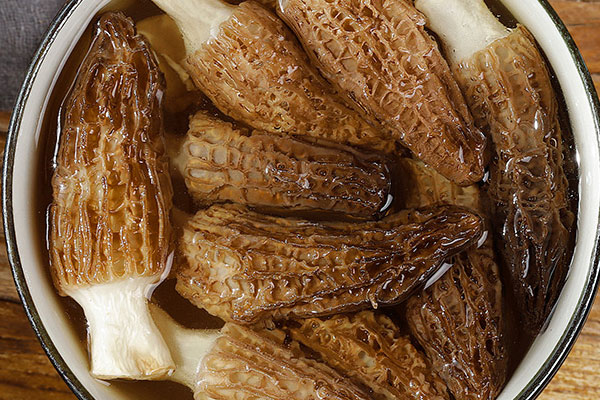 羊肚菌是不是越黑越好 羊肚菌是不是越黑越好