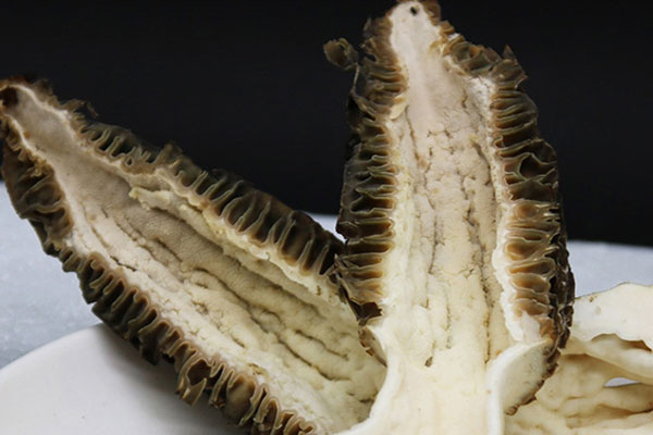 羊肚菌里面黑的還可以吃嗎 羊肚菌里面黑的還可以吃嗎