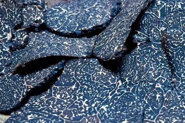 日式松露蘑菇飯?jiān)趺醋龊贸? src=