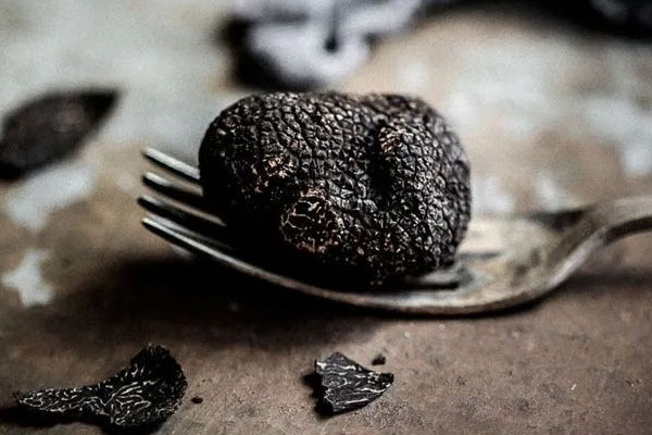 黑松露烤鴨的食用禁忌 黑松露烤鴨的食用禁忌