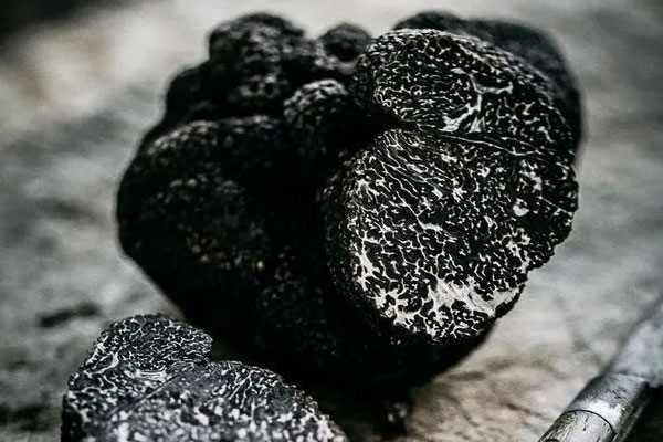 黑松露燜五花肉的食用禁忌 黑松露燜五花肉的食用禁忌