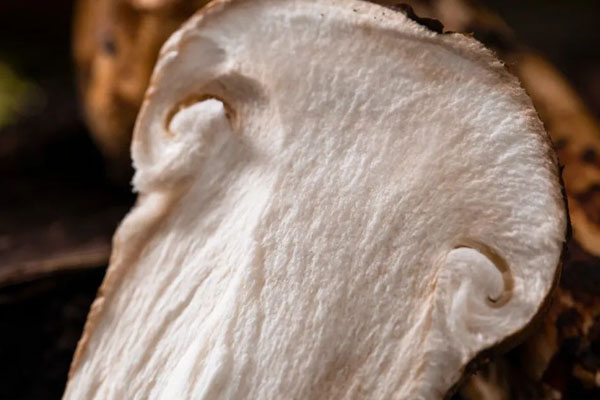 松茸牛油果刺身的食用禁忌 松茸牛油果刺身的食用禁忌