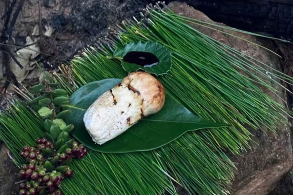松茸不可以和哪六種食物一起吃 松茸不可以和哪六種食物一起吃